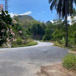 จุดชมวิวเขานางหงส์