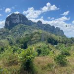 จุดชมวิวเขานางหงส์