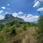 จุดชมวิวเขานางหงส์