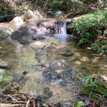 วนอุทยานสระนางมโนราห์
